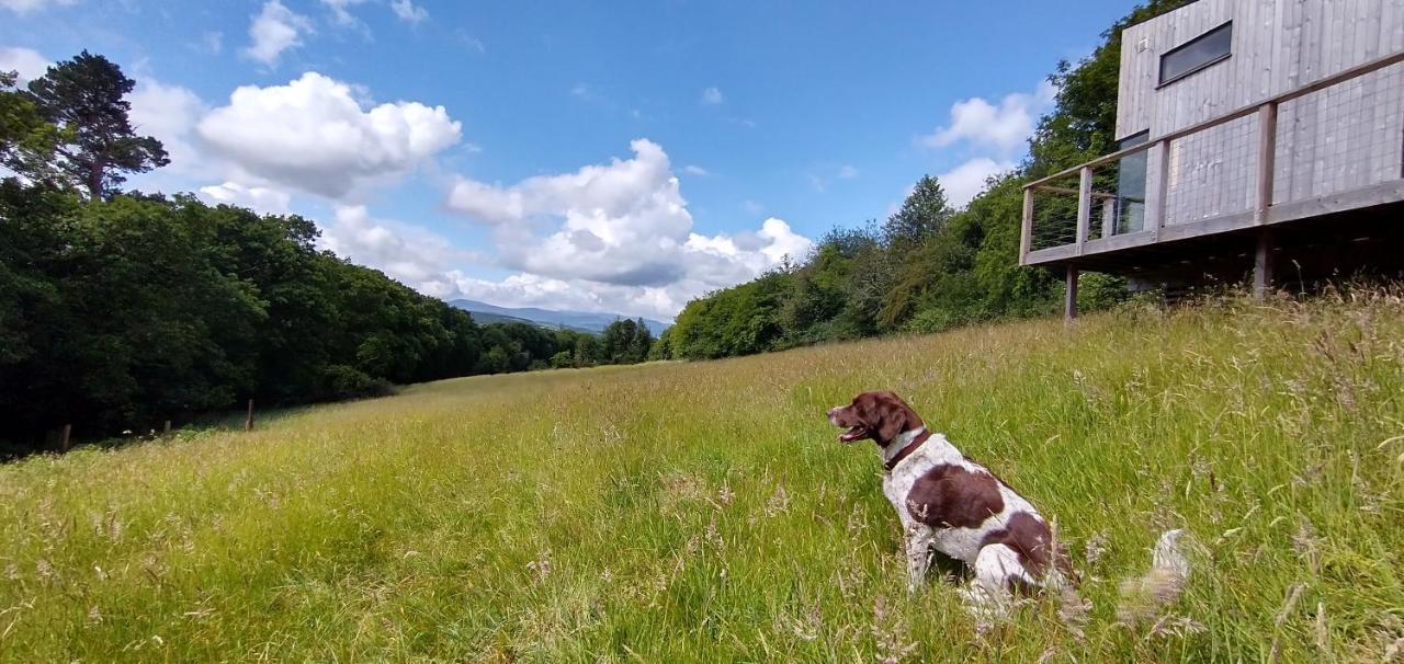 Nire Valley Eco Camp Ballymacarbry Esterno foto